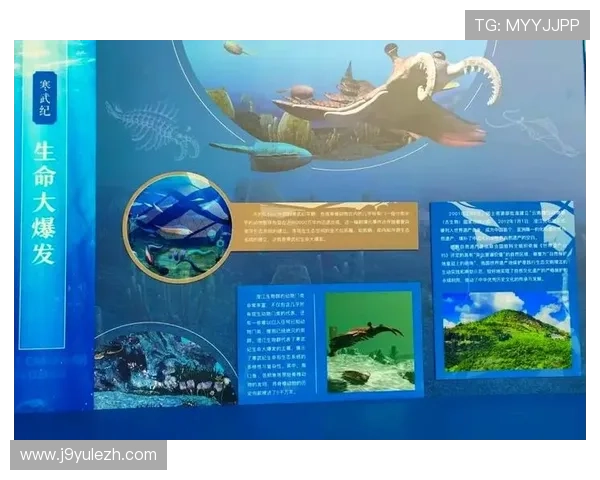 金鲨银鲨：海洋深处隐藏的宝藏与未知生物的神秘面纱逐步揭开